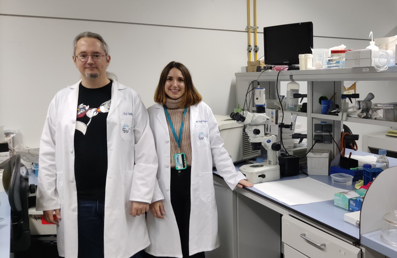 Descubren cómo calmar a las neuronas transmisoras del dolor Los dos investigadores del descubrimiento